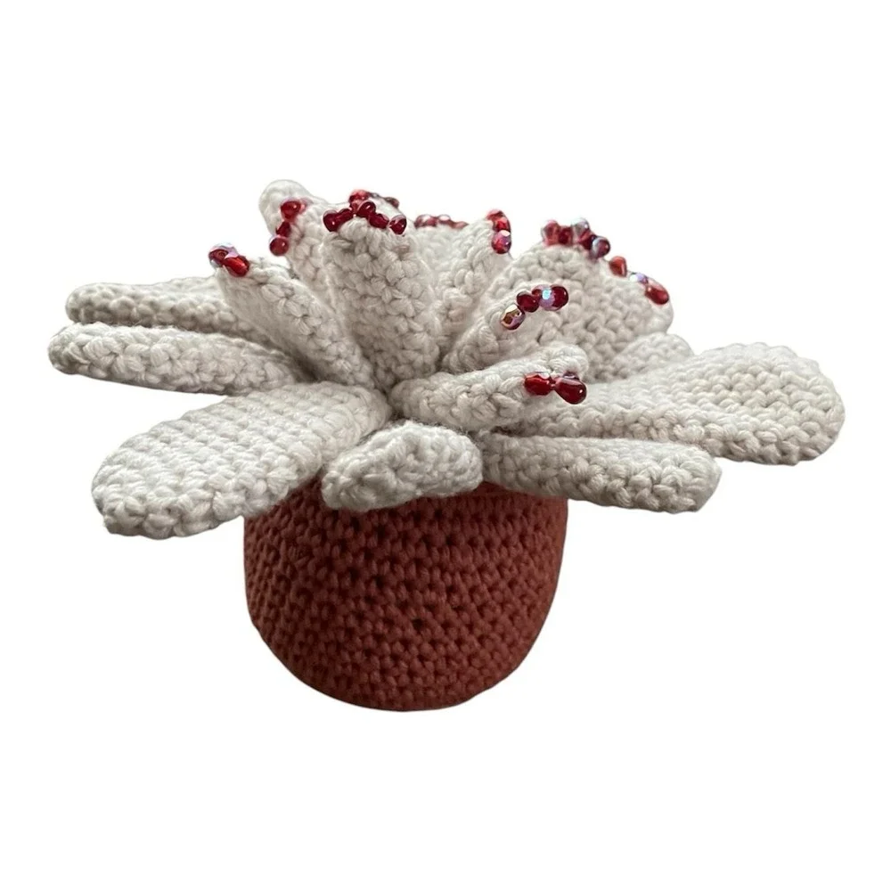 Handmade Succulent with Red Beads Crochet Blooming Cactus Cream Office Decor